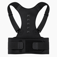 Back Support