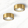 Nordic Ultra-Thin LED Flush Mount Ceiling Light