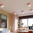 Scandinavian LED Flush Mount Ceiling Light