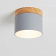 Scandinavian LED Flush Mount Ceiling Light