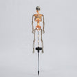 Solar Skeleton Garden Stake Light - LED Halloween Yard Decor