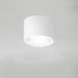 Nordic Cylinder Spotlight LED Flush Mount Ceiling Light